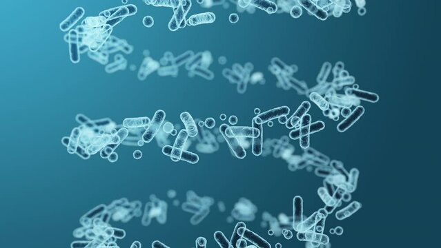 Enterobacteriaceae, gram-negative rod-shaped bacteria, part of intestinal microbiome and causative agents of different infections, 3D rendering. Escherichia coli, Klebsiella, Enterobacter and other