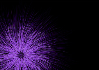 Purple fantasy flowers on a black background Used in media design