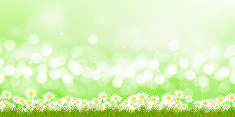 Fototapeta na wymiar Spring Background Meadow Landscape,White Daisy Flowers on Blurred Bokeh Morning Sunlight on Green color.Vector Summer field with defocus bokeh bright light on with wildflowers border for Easter banner