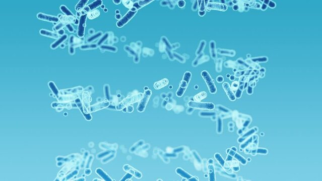 Enterobacteriaceae, gram-negative rod-shaped bacteria, part of intestinal microbiome and causative agents of different infections, 3D rendering. Escherichia coli, Klebsiella, Enterobacter and other