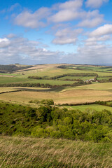 Obraz premium Looking out over hills and fields in rural Sussex, with a blue sky overhead
