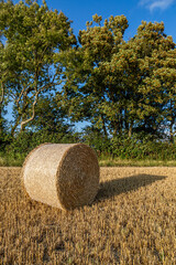 A bale of straw in a field in Sussex, on a sunny summer's evening