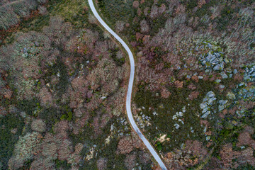 drone aerial top view of a deciduous mountain forest and a winding road
