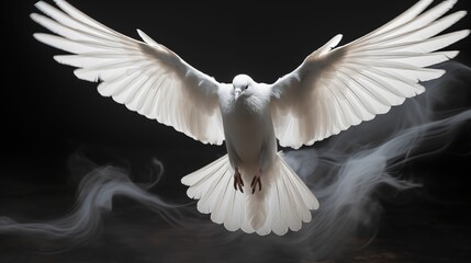 White dove soaring gracefully on a black background.