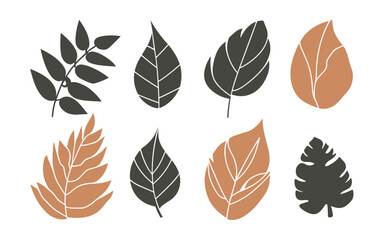 Abstract leaf vector clipart. Spring illustration.