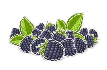 Vector logo for Blackberry, decorative horizontal poster with outline illustration of ripe blackberry composition with green sprigs, cartoon design fruity print with blackberries on white background - obrazy, fototapety, plakaty