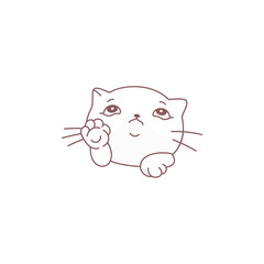 coloring books cute kitten heads cute
