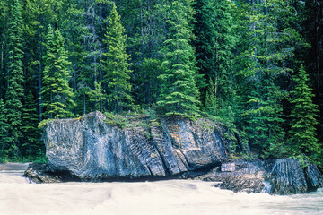 Boulders on the bank of a river in a coniferous forest