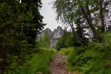 Scenic hiking trail to mountain peak Cima del Cacciatore in remote Julian Alps, Friuli-Venezia Giulia, Italy. Trailhead from Monte Santo di Lussari, Camporosso. Wanderlust in untamed Italian Alps