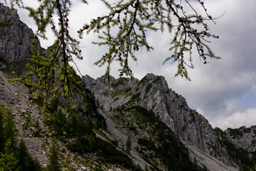 Scenic hiking trail to mountain peak Cima del Cacciatore in remote Julian Alps, Friuli-Venezia Giulia, Italy. Trailhead from Monte Santo di Lussari, Camporosso. Wanderlust in untamed Italian Alps