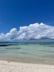 a sea of sunny weather and emerald colors