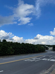 Blue skies, trees and roads