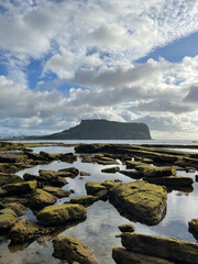 clear skies, the sea, and mossy rocks
