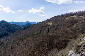 View to hill with trees and cloudy sky