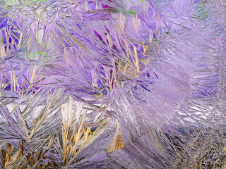 Beautiful ice pattern and sunlight close up on window glass early in the morning, natural winter background        