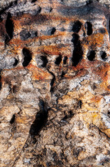 rock detail of quartz and granite texture macro photograph