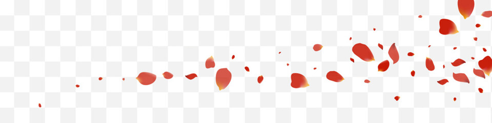 Pink Lotus Flying Vector White Panoramic