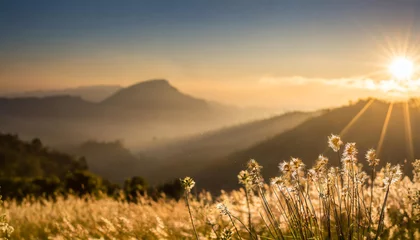 Foto auf Leinwand Stunning sunrise over the mountains, refreshing meadow landscape bathed in sunrays and golden bokeh © Tatiana