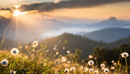 Stunning sunrise over the mountains, refreshing meadow landscape bathed in sunrays and golden bokeh - obrazy, fototapety, plakaty