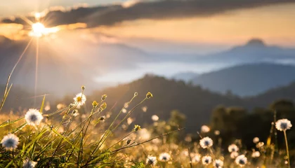 Poster Stunning sunrise over the mountains, refreshing meadow landscape bathed in sunrays and golden bokeh © Tatiana