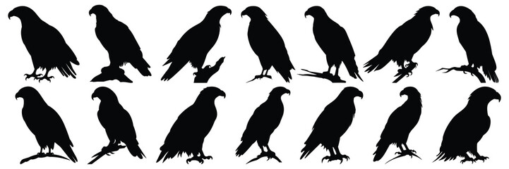 Eagle silhouettes set, large pack of vector silhouette design, isolated white background