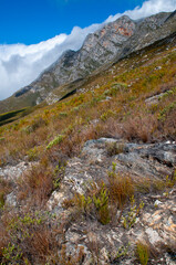 Dramatic clouds and mountains, ragged peaks in natural landscape in the Outeniqua mountains in the fynbos region of the western cape 