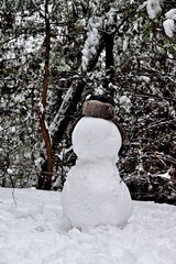 snowman in the snow