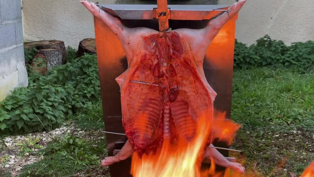 Traditional Argentinian asado, lamb and piglet slow-cooked over a wood fire and brushed with a spicy chimichurri sauce, Patagonia, Argentina, France, High quality FullHD footage