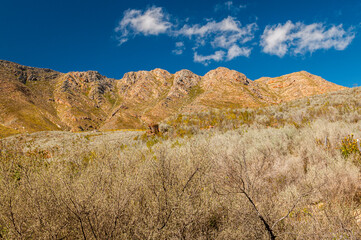 Dramatic clouds and mountains, ragged peaks in natural landscape in the Outeniqua mountains in the fynbos region of the western cape 