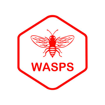 Make a Professional Wasps Vector