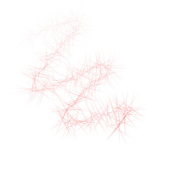 red and white feathers