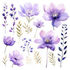 Purple Flowers Watercolor Clipart 