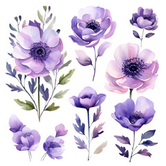 Purple Flowers Watercolor Clipart 