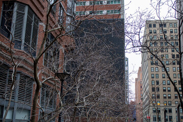Urban street scene with a variety of tall buildings and trees in Lower Manhattan