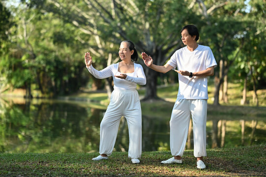 Full length Asian senior couple doing Tai Chi exercises in the park. Mental health and retired lifestyle concept.