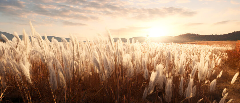 Landscape with dry reeds, beige cane, pampas grass. Macro Shoot. Nature, herbal background. Boho design. Generative ai