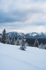Fototapeta na wymiar Landschaft | Winter