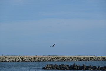 Travel in Hokkaido, Japan (Sep. 2023)
