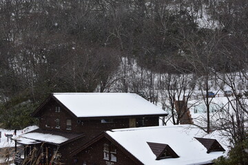 Travel in Sapporo, Japan (Dec. 2022)