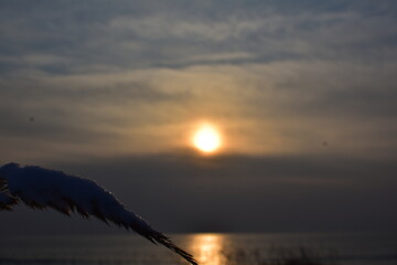 Travel in Sapporo, Japan (Dec. 2022)