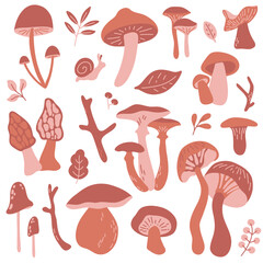 Vector big set with edible and inedible mushrooms, leaves, snail, branch in brown colors. Autumn forest stickers.