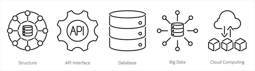 A set of 5 data analytics icons as structure, api interface, database