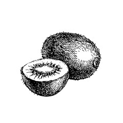 Hand drawn sketch fruit kiwi. Eco food background. Vector illustration - 703206423