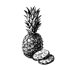 Hand drawn sketch fruit pineapple. Eco food background. Vector illustration