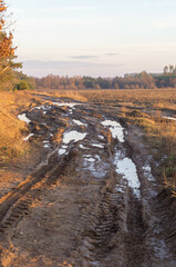 Rural December journey: a muddy road etched with the tracks of countless travelers in the Ukrainian countryside. The earth softened by winter's touch, bearing marks of passage through the fields.