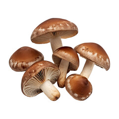 Mushrooms on transparent background created with Generative AI technology