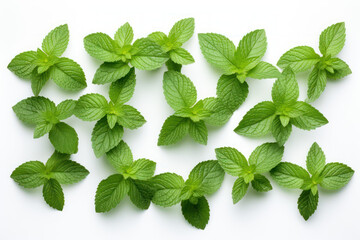 top view of fresh mint isolated on white