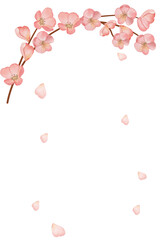 Watercolor hand painted floral cherry blosoom bouquets.Watercolor floral illustration with cherry japan - for wedding invite, stationary, greetings, wallpapers, background