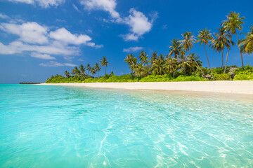 Beautiful beach background. Tropical nature exotic sandy shore coast. Tranquil paradise landscape,...