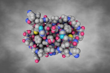 Diabetes-Associated Mutations in Human Insulin: A-Chain Variant Insulin Wakayama. Space-filling molecular model . Rendering based on protein data bank entry 1xw7. 3d illustration
